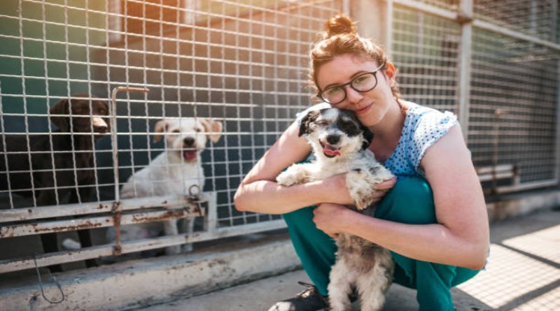 Worker At An Animal Shelter