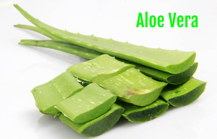 Aloe Vera