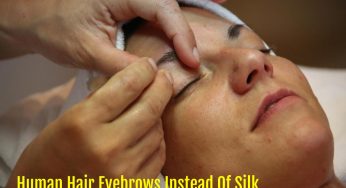 Human Hair Eyebrows Instead Of Silk