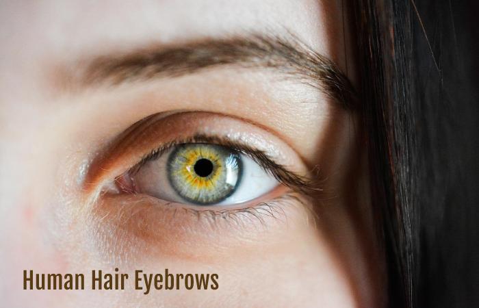 Human Hair Eyebrows