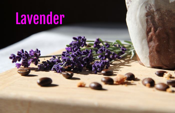 Lavender benefits