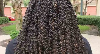 DIY Passion Twists Guide Step-by-Step for Beginners