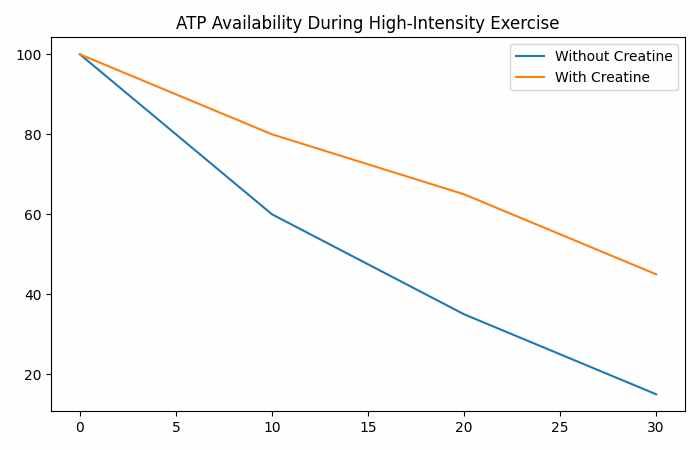 ATP Availability During High-Intensity Exercise