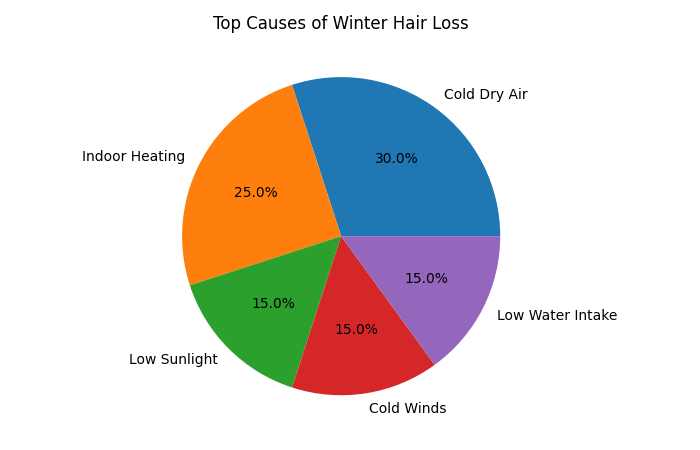 top causes of winter hair loss