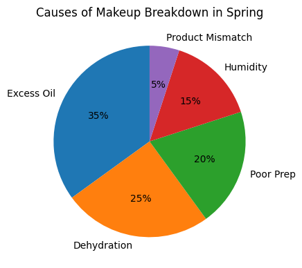 Causes of Makeup Breakdown in Spring