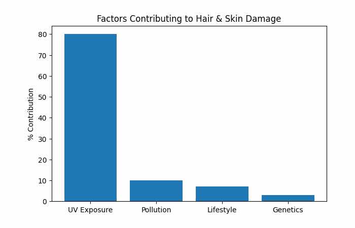 Contribution of Factors to Visible Skin Aging