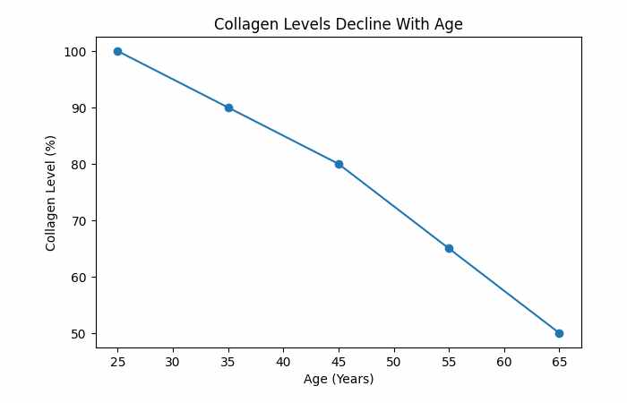 Collagen Levels Decline With Age