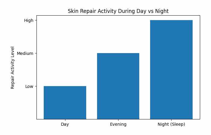 Skin Repair Activity During Day vs Night