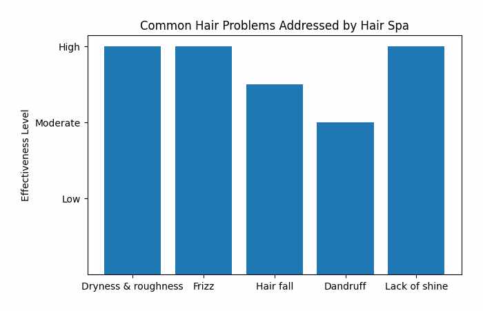 Common Hair Problems Addressed by Hair Spa